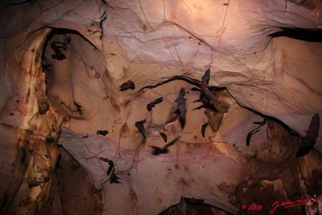 005 KELANGO Grotte Cavite avec Chauves-Souris 8EIMG_20035WTMK.JPG