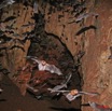 007 KELANGO Grotte Tunnel avec Chauves-Souris 8EIMG_20042WTMK.JPG