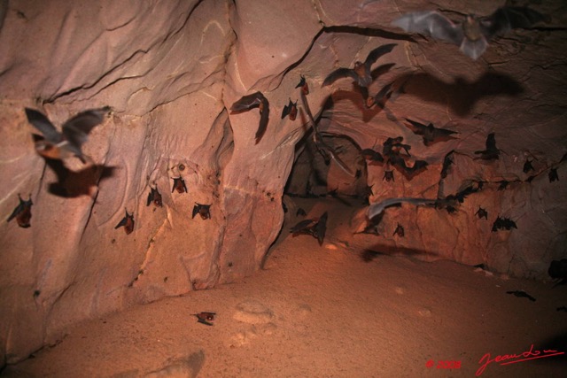 009 KELANGO Grotte Tunnel avec Chauves-Souris 8EIMG_20075WTMK.JPG