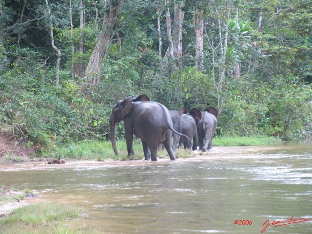 003 KESSALA Elephants IMG_2232WTMK.JPG