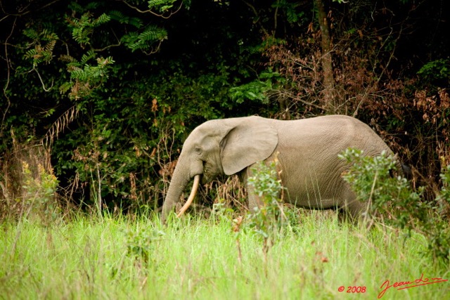 017 KESSALA Elephant Solitaire 8EIMG_25742wtmk.jpg