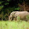 017 KESSALA Elephant Solitaire 8EIMG_25742wtmk.jpg