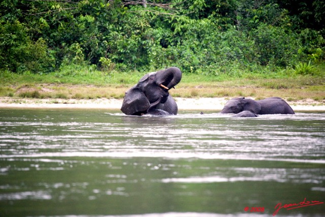 021 KESSALA Famille Elephant Plage 2 8EIMG_25826wtmk.jpg