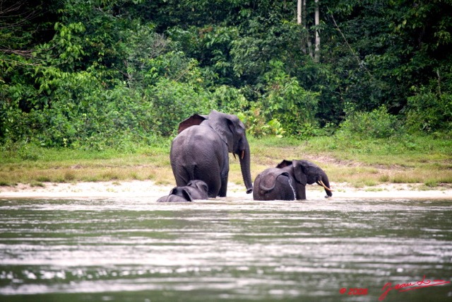 023 KESSALA Famille Elephant Plage 2 8EIMG_25843wtmk.jpg