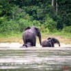 023 KESSALA Famille Elephant Plage 2 8EIMG_25843wtmk.jpg