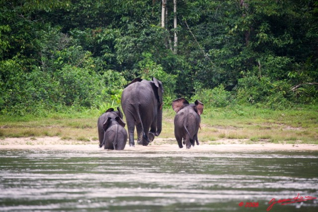 024 KESSALA Famille Elephant Plage 2 8EIMG_25846wtmk.jpg