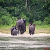 024 KESSALA Famille Elephant Plage 2 8EIMG_25846wtmk.jpg