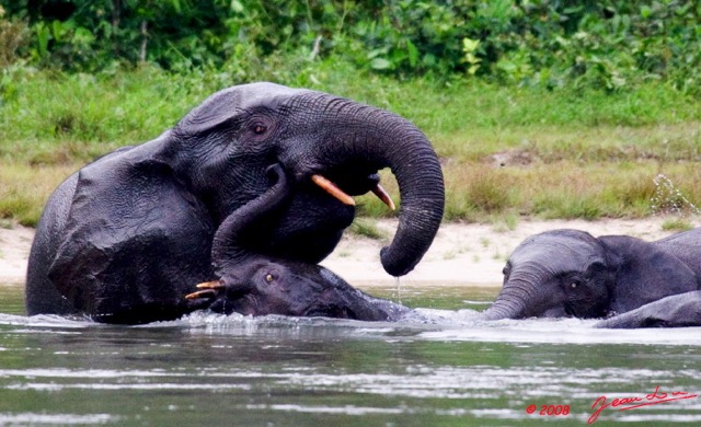 025 KESSALA Famille Elephant Plage 2a 8EIMG_25831wtmk.jpg