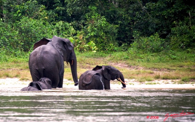 027 KESSALA Famille Elephant Plage 2a 8EIMG_25843wtmk.jpg