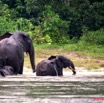 027 KESSALA Famille Elephant Plage 2a 8EIMG_25843wtmk.jpg