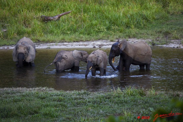 073 MOUPIA 5 Bai Elephants 8 10E5K2IMG_64479wtmk.jpg