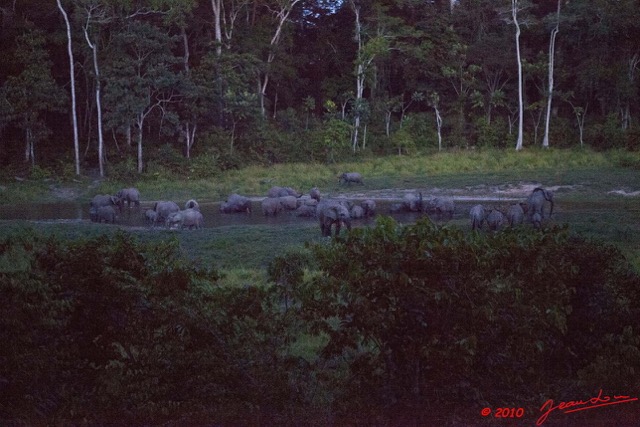 081 MOUPIA 5 Bai Elephants 31 a la Tombee de la Nuit 10E5K2IMG_64584wtmk.jpg