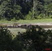 082 MOUPIA 6 Elephants au Bai 1 11E5K2IMG_69286wtmk.jpg