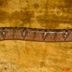 097 Reptilia Squamata Colubridae (Boiga) Toxicodryas pulverulenta Serpent 31 9E50IMG_31022wtmk.jpg