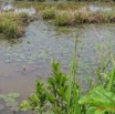 005 Moanda-IMG_0596WTMK.JPG