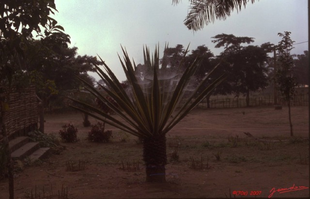 015 1976 Gabon 037wtmk.JPG