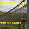 002 Titre Photos Bongoville Pont de Liane-01.jpg