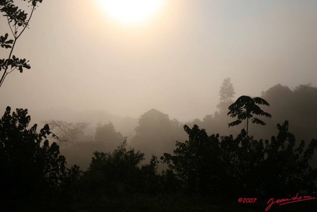 016 Franceville Vegetation avec les Brumes du Matin 7IMG_8684WTMK.JPG