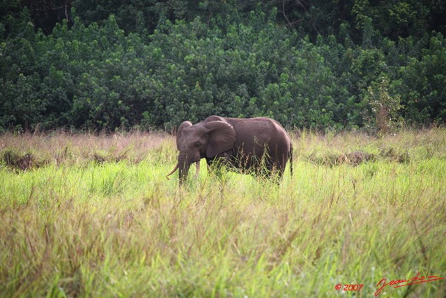 004 GAMBA Elephants a Yenzi E7IMG_0364WTMK.JPG