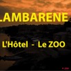 021 Titre Photos Lambarene Le Zoo.jpg