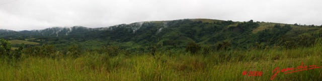 020 GABON Foret Pano 01wtmk.JPG