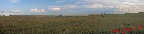 001 SPB6 Savane Pano 3awtmk.jpg