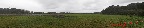 088 Loango Inyoungou Prairie Pano 4awtmk.jpg