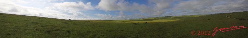 092 SPB 9 Savane Pano 2awtmk.jpg