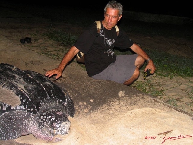 026 Parc de PONGARA Tortue Luth et JLA IMG_5570WTMK.JPG