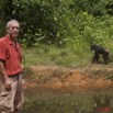 056 LEKEDI 4 Chimpanze et JLA 9E5MK2IMG_56276wtmk.jpg