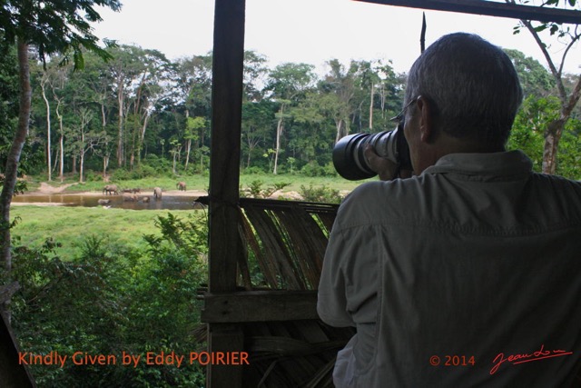 056 Moupia 7 Photo Elephants depuis Observatoire par JLA EP14IMG_EP0889bwtmk.jpg