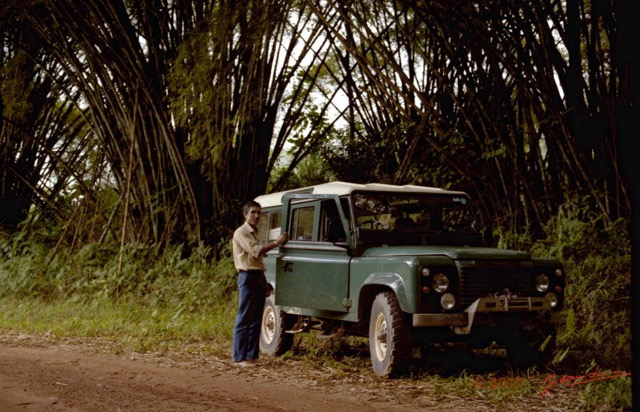 074 Congo Bambouraie et JLA 80s 100001a_DxOwtmk.jpg