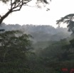 008 Foret Gabonaise IMG_3425WTMK.jpg