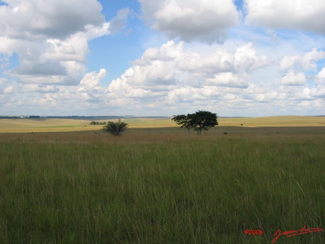 027 Savane IMG_1221WTMK.jpg