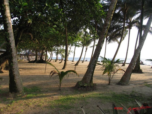 010 Libreville Tropicana IMG_1717WTMK.JPG