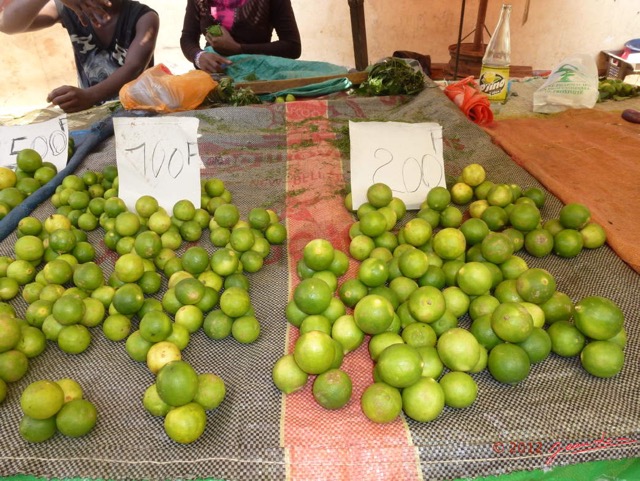 028 Marche les Citrons P1010446wtmk.jpg