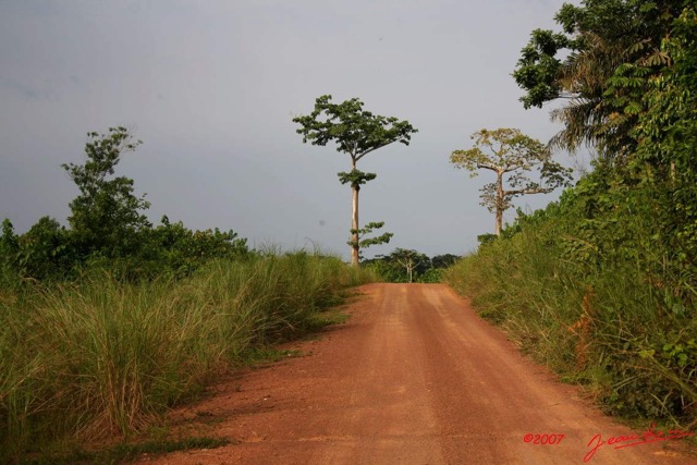 050 Piste et Arbre IMG_4159WTMK.jpg